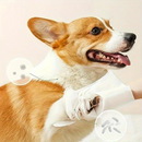 Luva Umedecida Antibacteriana para Pets