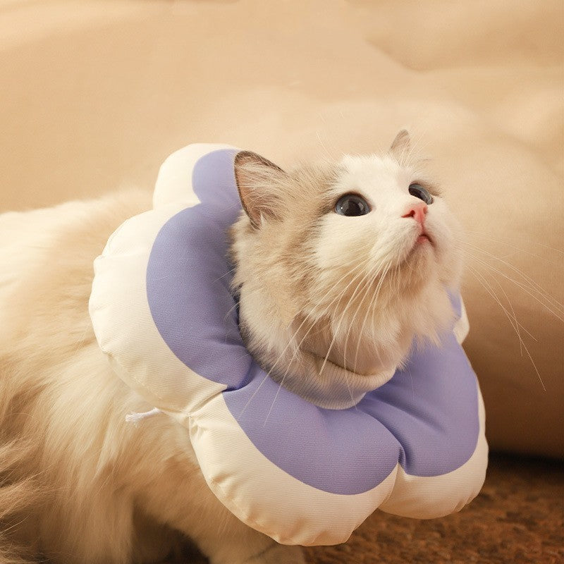 Cone de Recuperação Flor