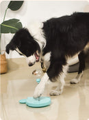 Petyball - Bola de Petisco interativa para cães e gatos