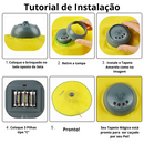 Brinquedo Tapete Interativo para Gatos