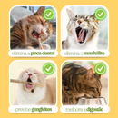 Bastão Mordedor Natural para Gatos