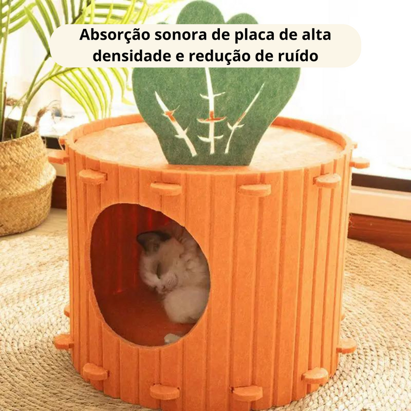 Toca Cenoura