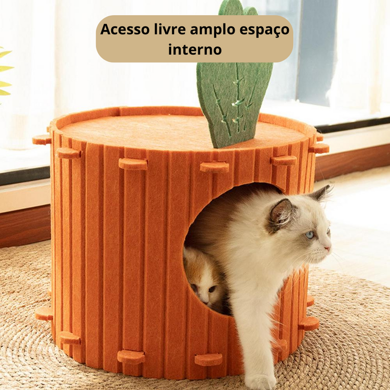 Toca Cenoura