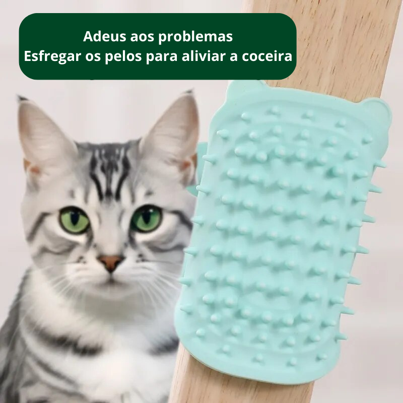 Escova Elástica