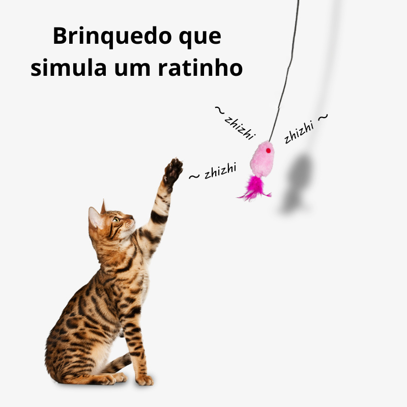Ratinho Elástico