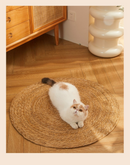 Tapete Arranhador de Taboa Trançada