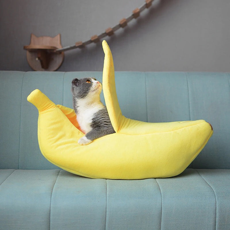 Caminha banana para Gatos