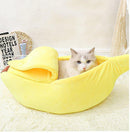 Caminha banana para Gatos