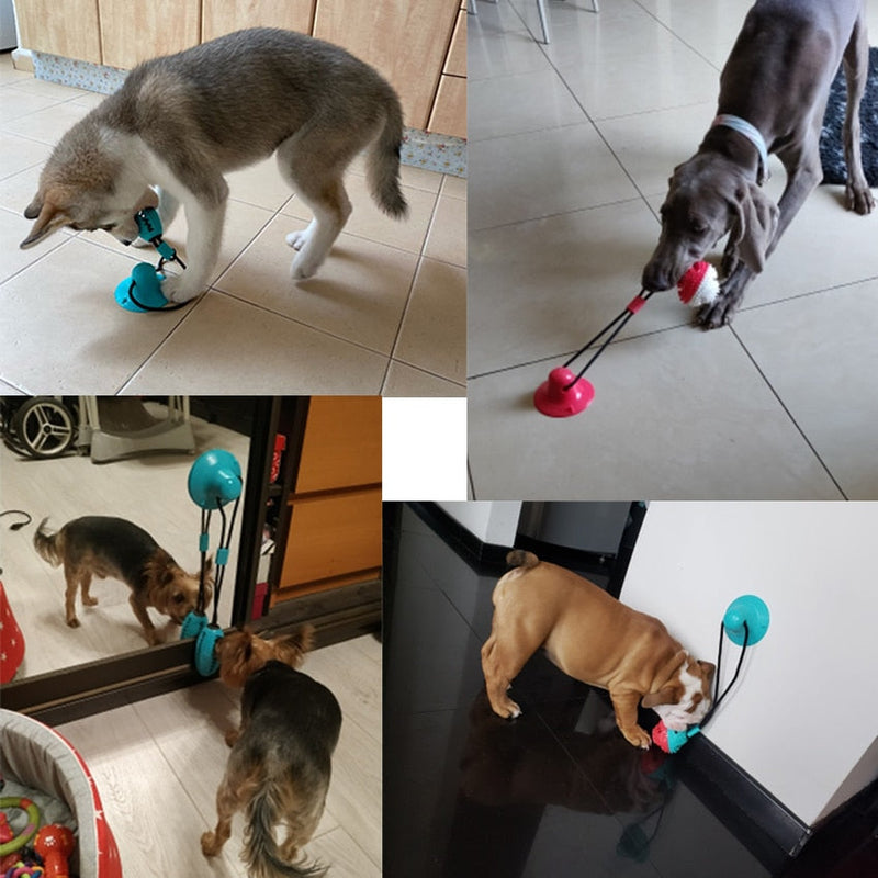 Dog Puxa Toy - Brinquedo Mordedor Interativo Para Cachorro