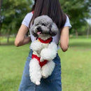 Mochila de Transporte Canguru