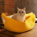 Caminha banana para Gatos