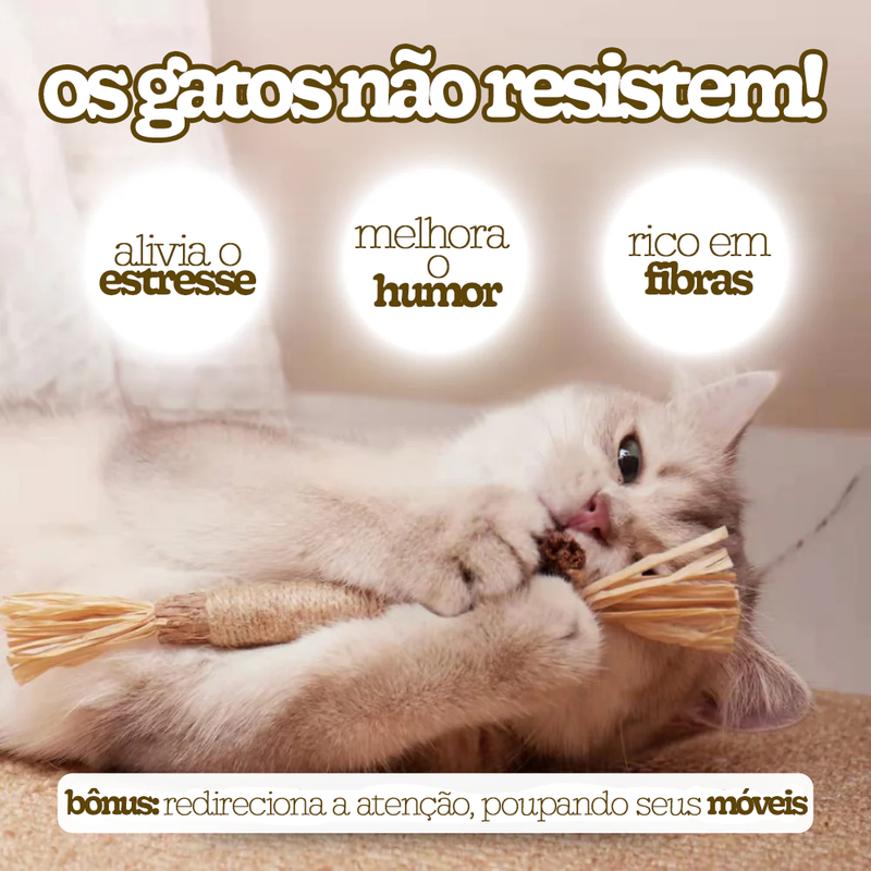Bastão Mordedor Natural para Gatos