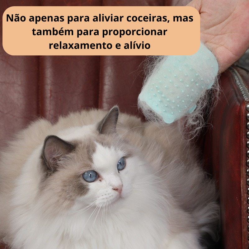 Escova Elástica