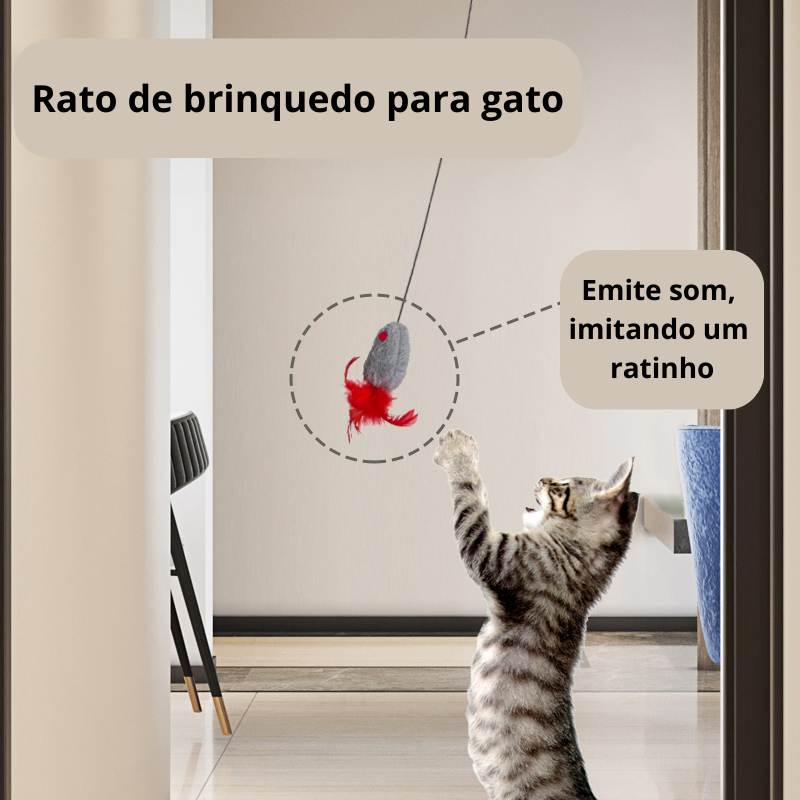 Ratinho Elástico