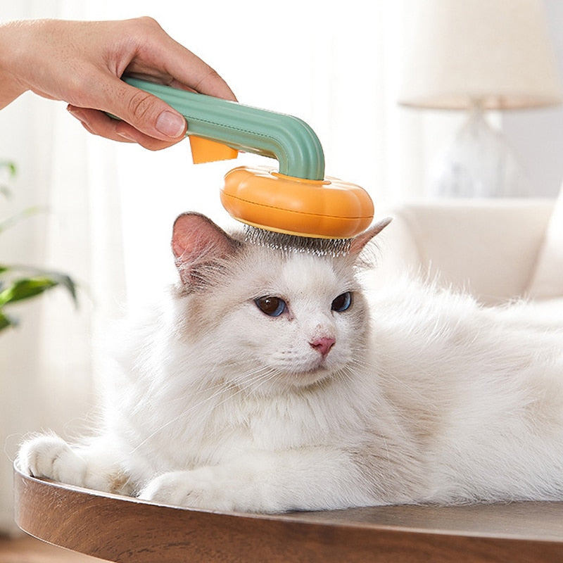 Abóbora Petclean - Escova removedora de pelos