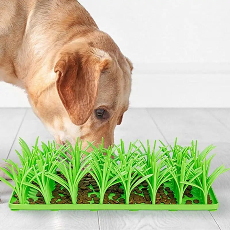 Tapete Graminha Interativa para Pets