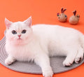 Tapete Arranhador Miau