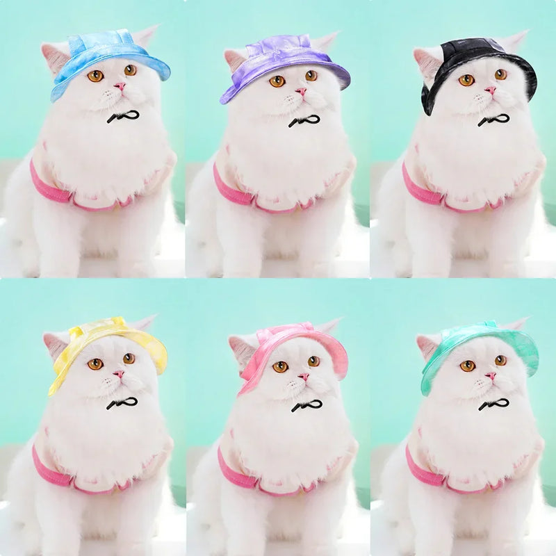 Chapéu Pet