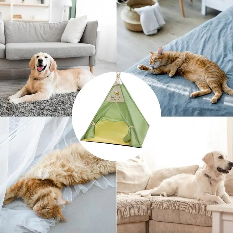 Cabaninha Pet Comfy