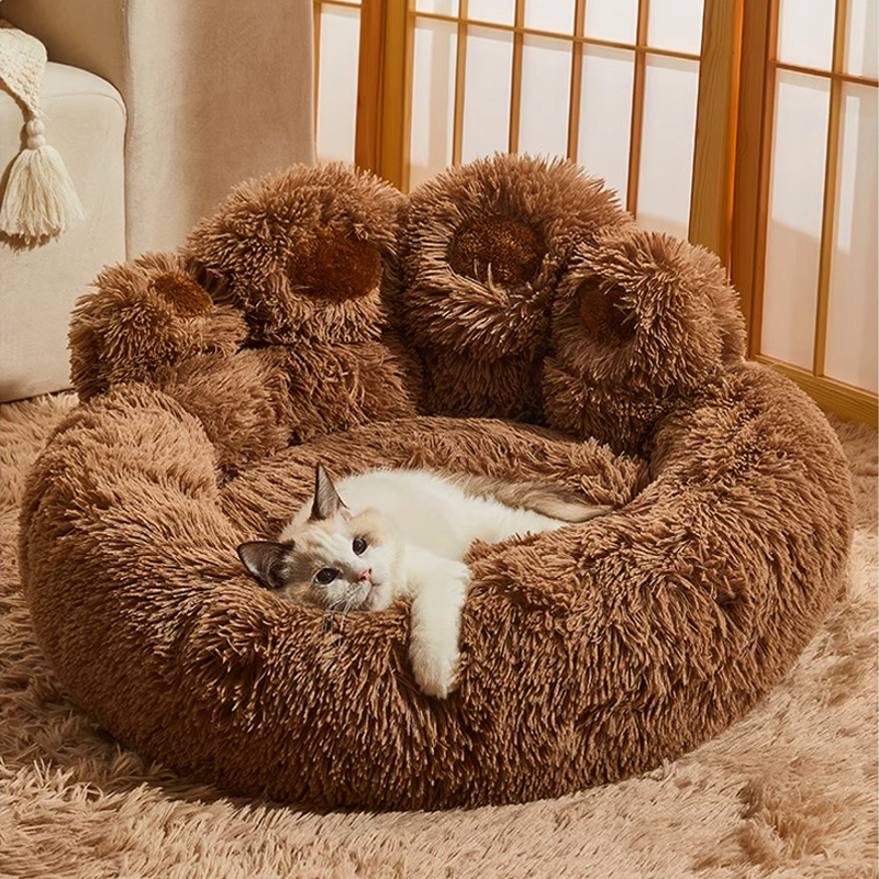Caminha Patinha