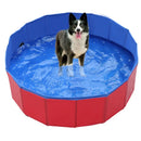 Piscina Dobrável Para Cães