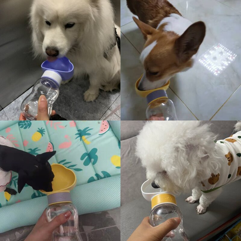 Garrafa Portátil Pet 2 em 1