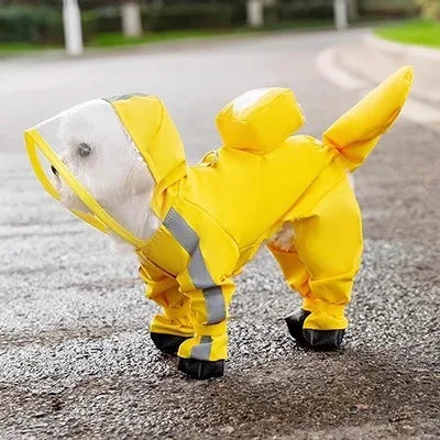 Capa de Chuva Pet