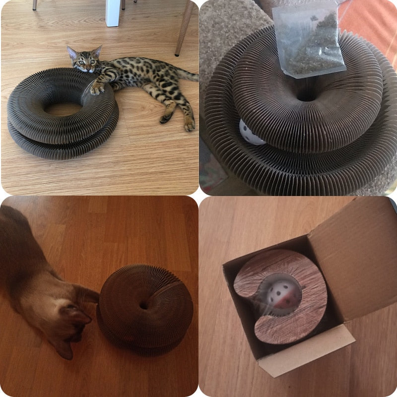 Brinquedo arranhador dobrável para gatos