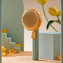 Abóbora Petclean - Escova removedora de pelos