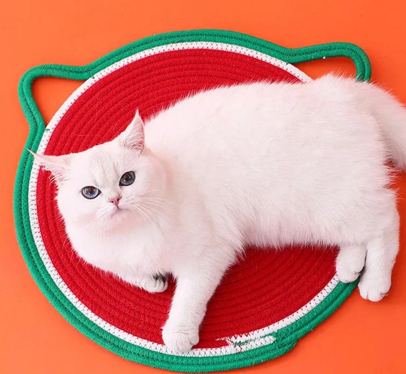 Tapete Arranhador Miau
