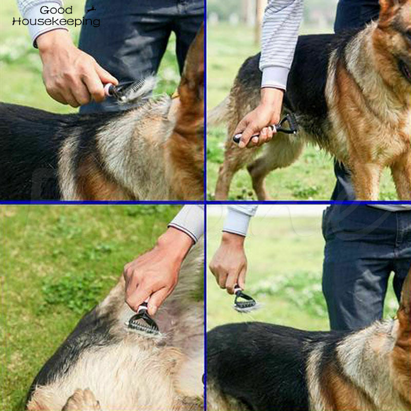 Escova Rasqueadeira SmoothGroom™ - Para Cães e Gatos