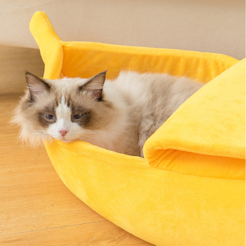 Caminha banana para Gatos