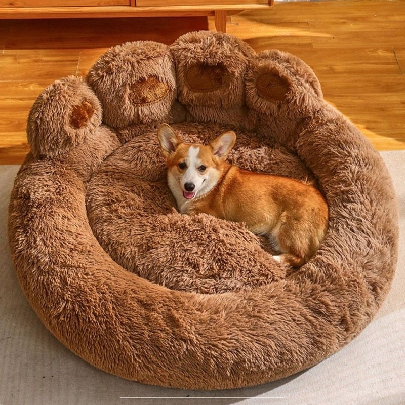 Caminha Patinha