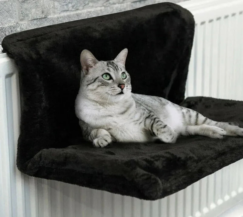 Cama Suspensa para Gatos - SuspenCat