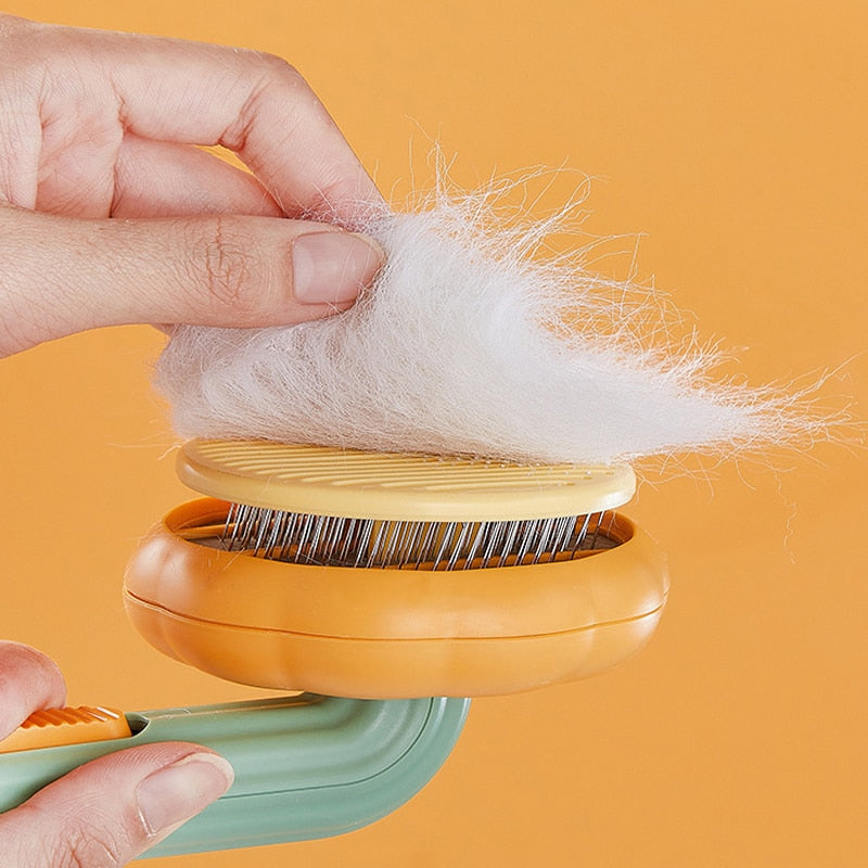 Abóbora Petclean - Escova removedora de pelos