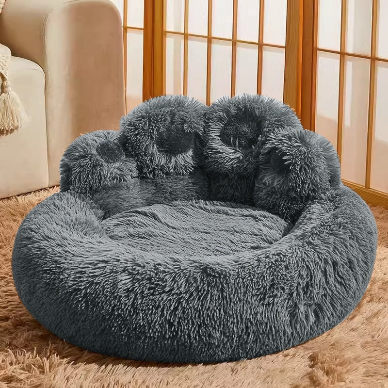 Caminha Patinha