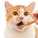 Kit de Escovação de Dentes de Silicone para Pets