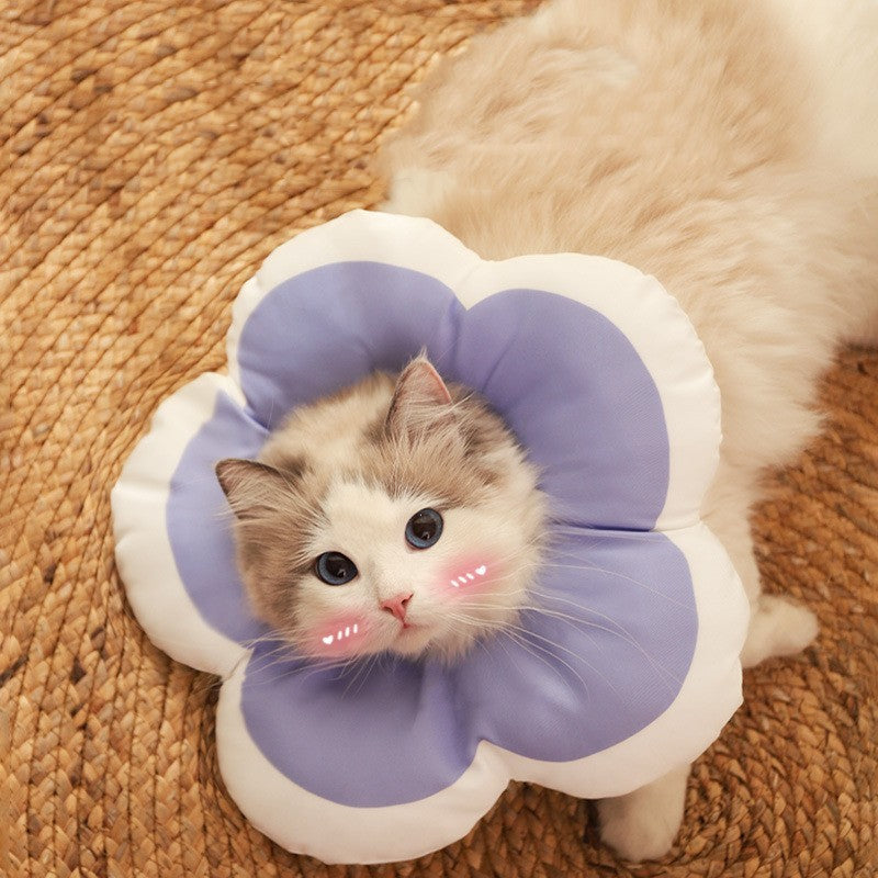 Cone de Recuperação Flor