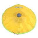 Brinquedo Tapete Interativo para Gatos