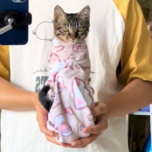Pano de Embrulho Autoadesivo para Gatos
