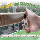 Spray Matatabi para Gatos